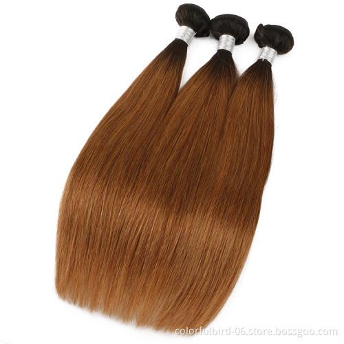 Ombre Bundles And Closure 1B/30 Color Bundles With Closure Ombre Colored Brown Brazilian Ombre Hair Bundles With Closure